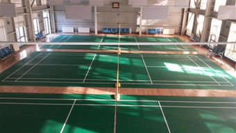 專注品質，服務運動——北京達森運動木地板有限責任公司